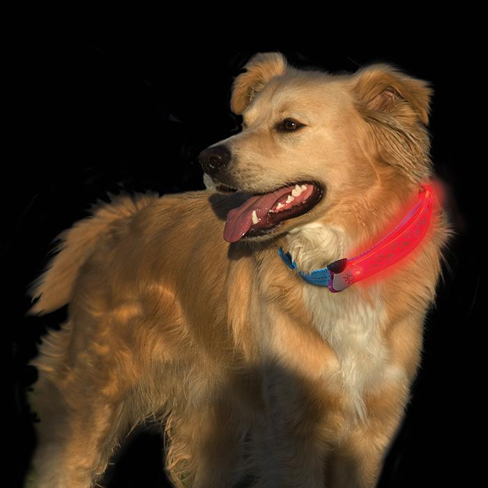 Nite Dawg Dog Accessories Nite Dawg LED Collar Cover - Pink: Red LED