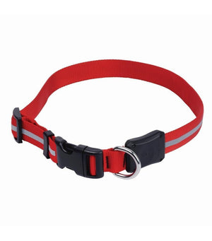 Nite Dawg Dog Accessories Nite Dawg LED Collar - Red