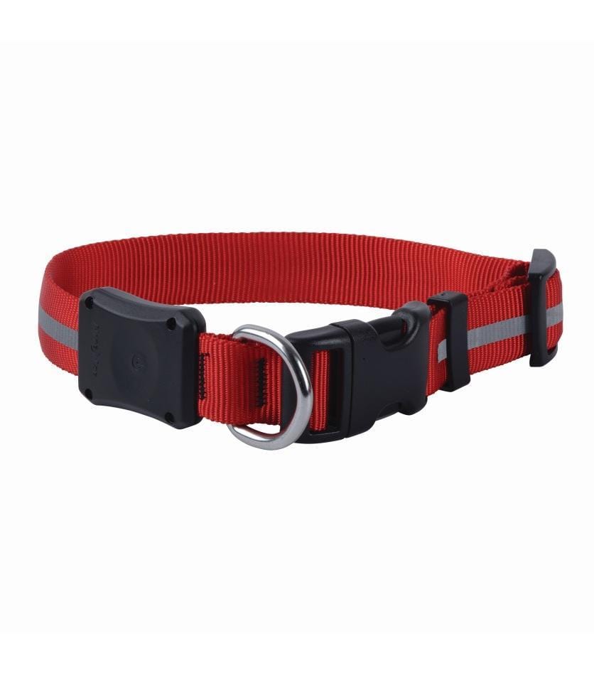 Nite Dawg Dog Accessories Nite Dawg LED Collar - Red